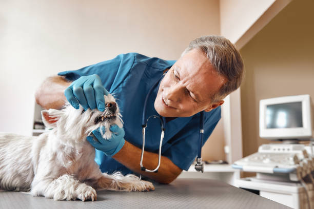 Best Emergency Wisdom Teeth Removal in Governors Clu, NC