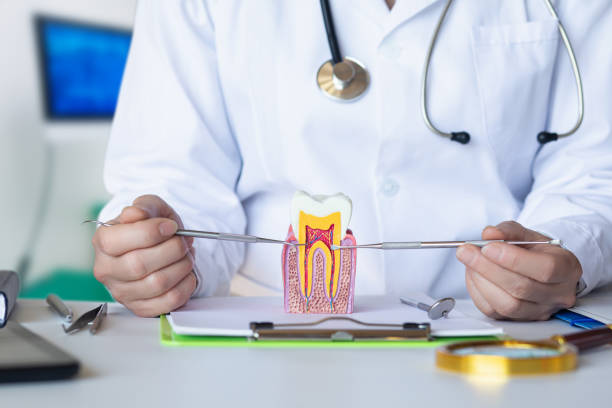 Best Emergency Gum Treatment in Governors Clu, NC